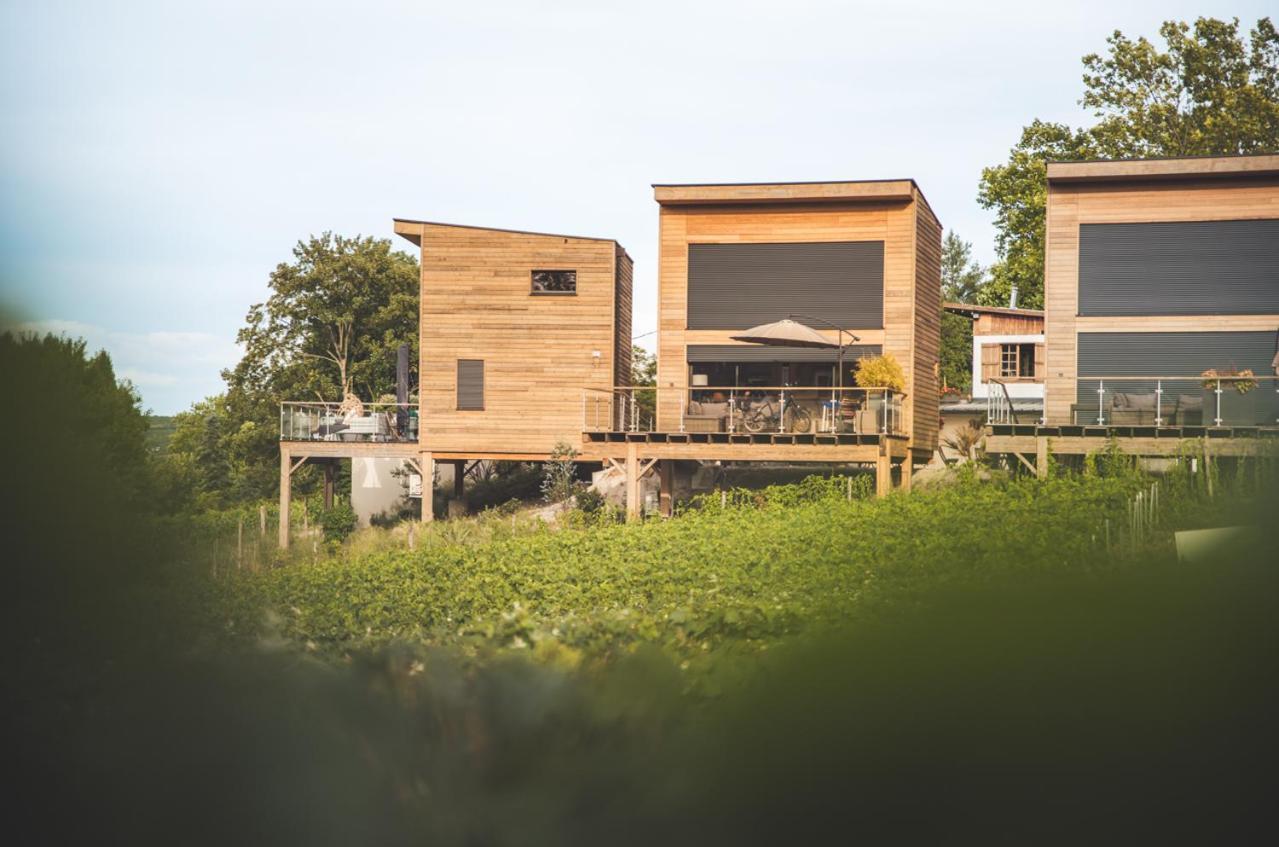 Cottages Antoinette Chigny-les-Roses Exterior photo