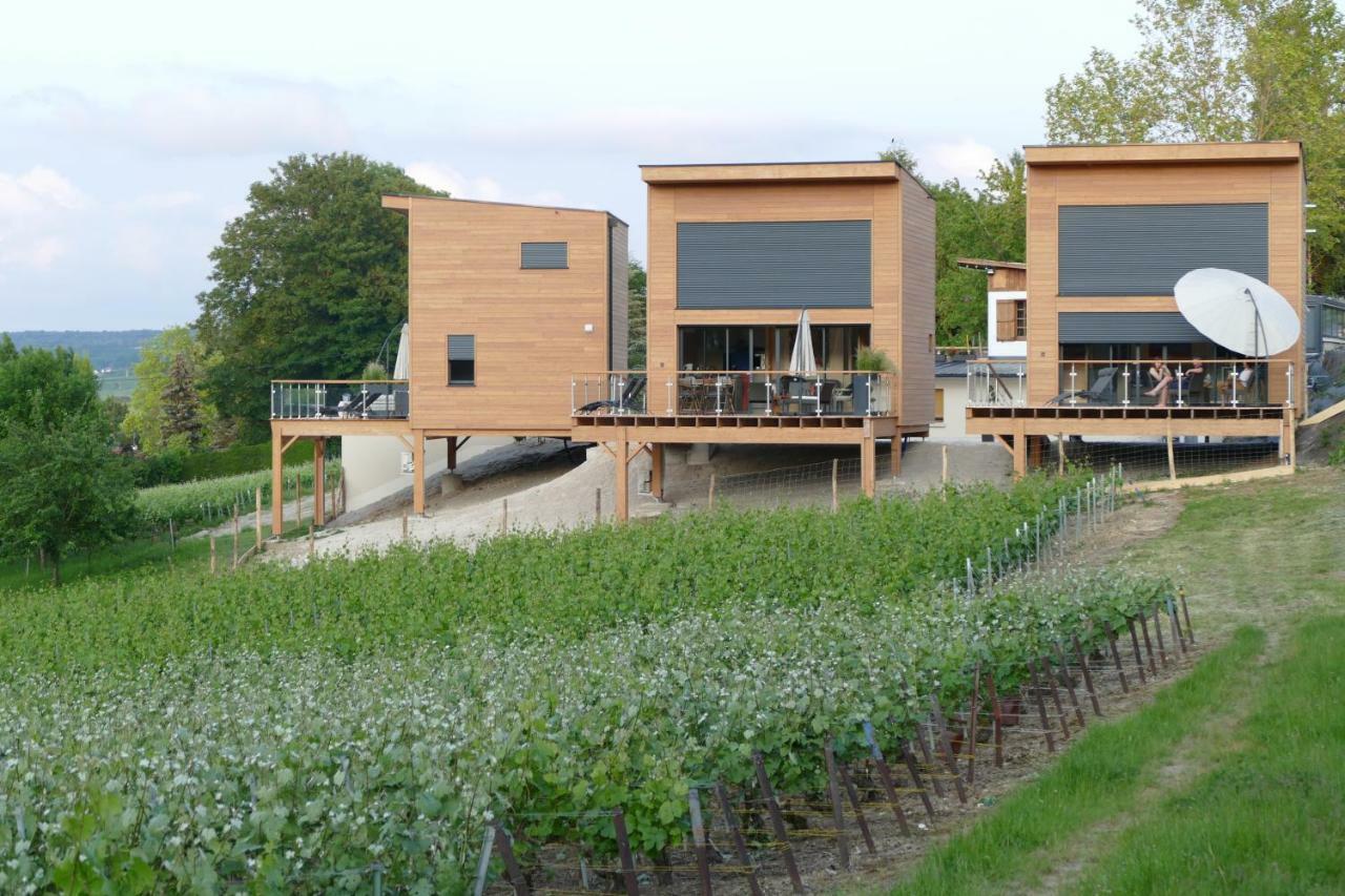 Cottages Antoinette Chigny-les-Roses Exterior photo