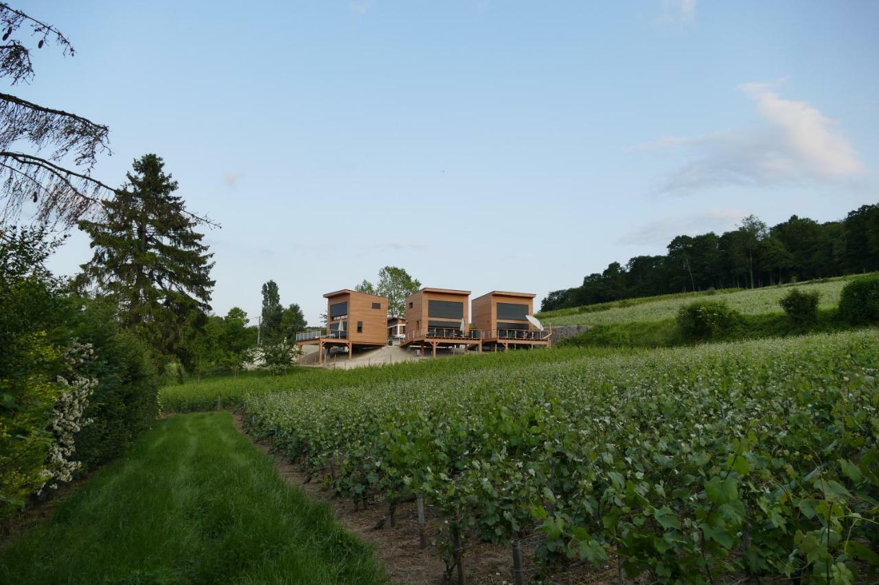 Cottages Antoinette Chigny-les-Roses Exterior photo