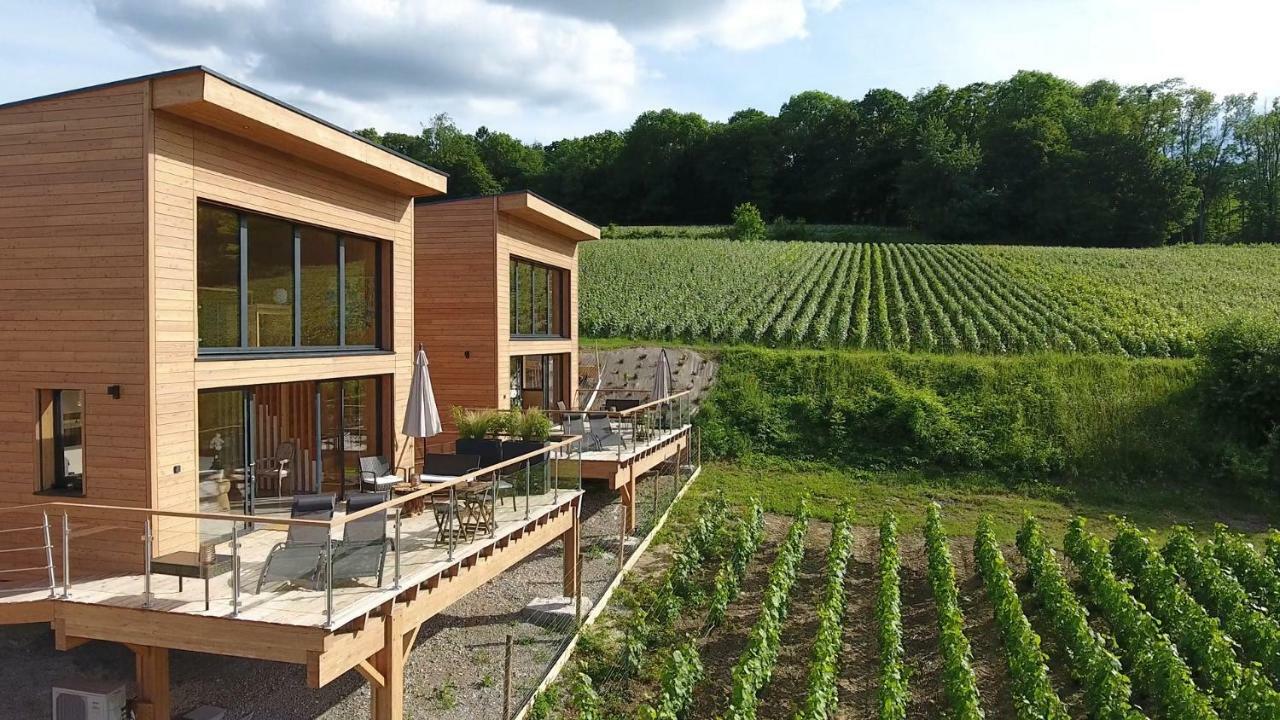 Cottages Antoinette Chigny-les-Roses Exterior photo