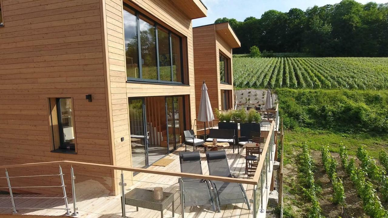Cottages Antoinette Chigny-les-Roses Exterior photo