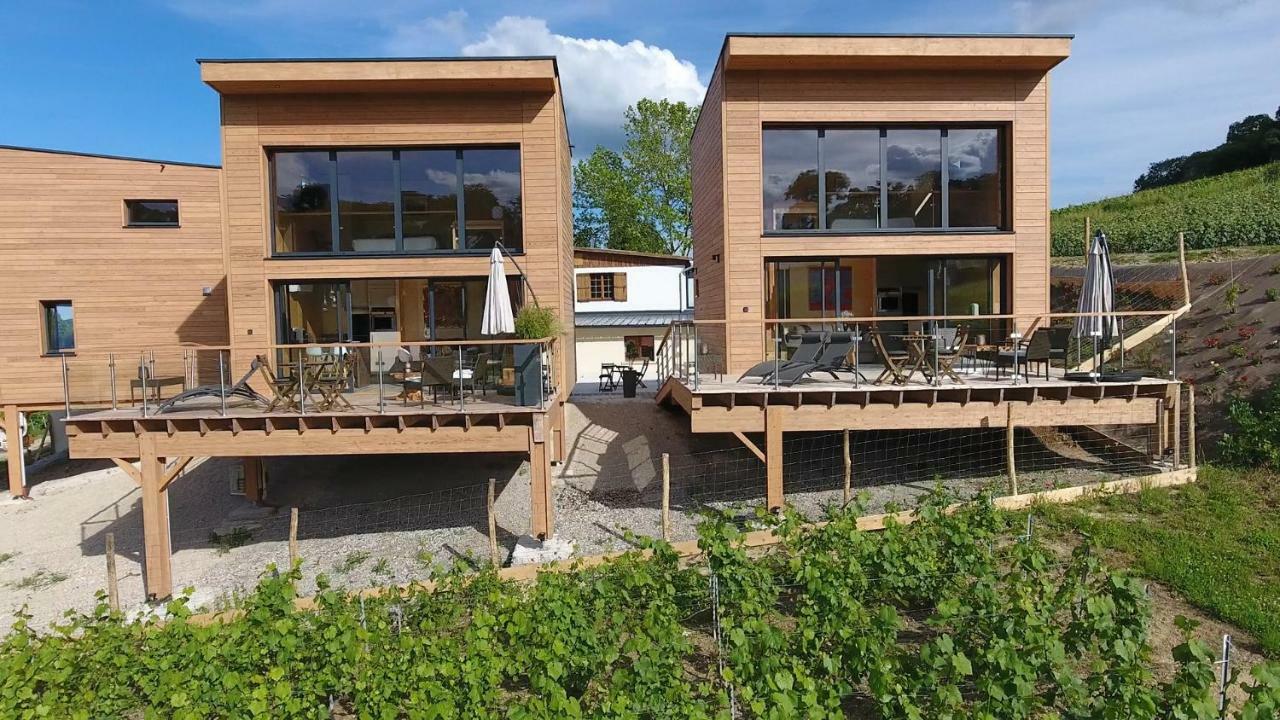 Cottages Antoinette Chigny-les-Roses Exterior photo