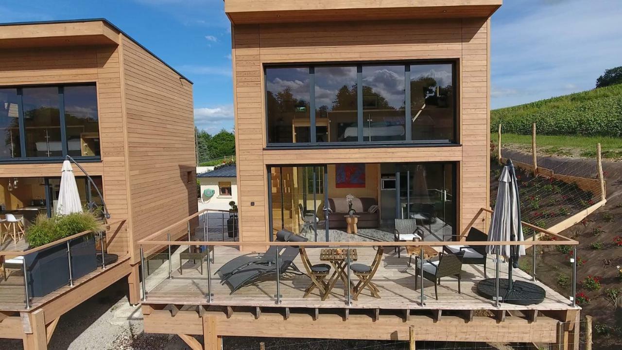 Cottages Antoinette Chigny-les-Roses Exterior photo
