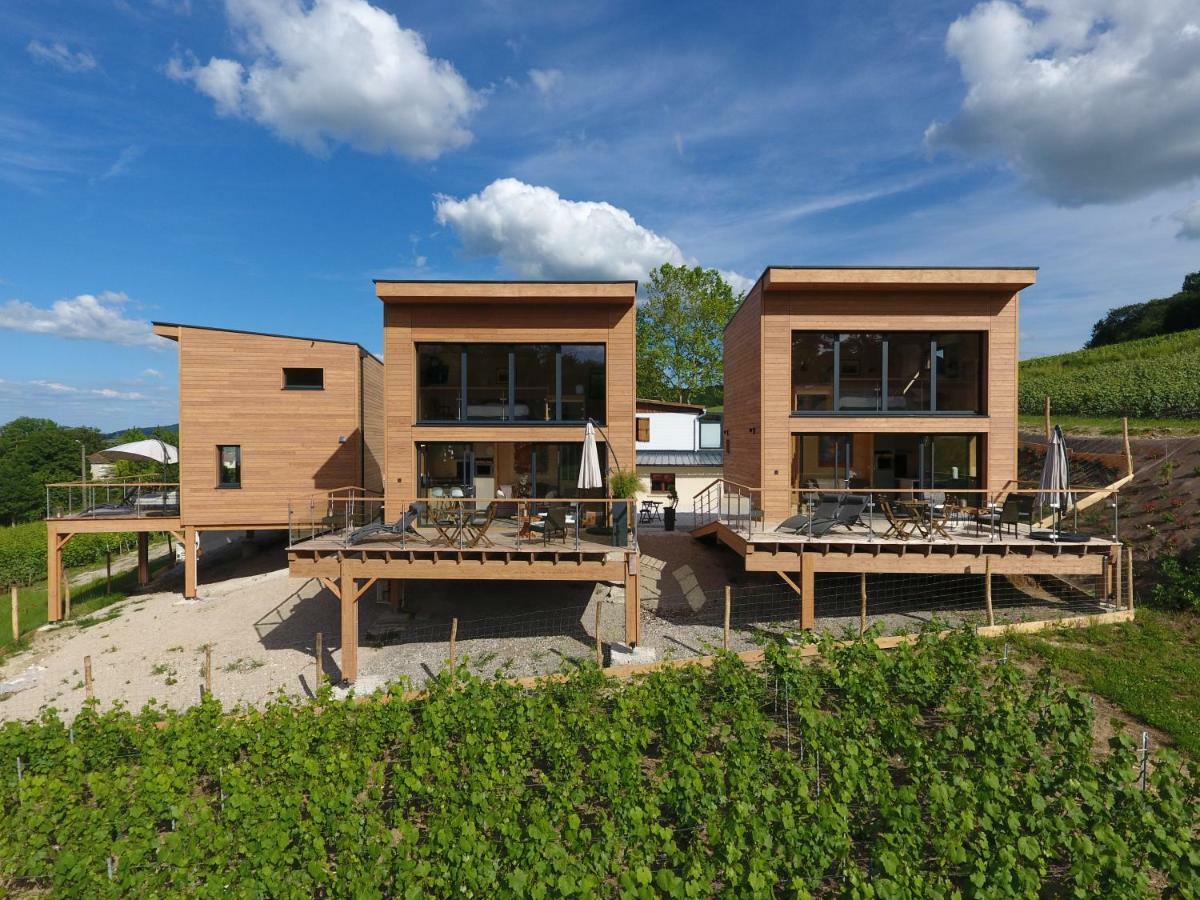 Cottages Antoinette Chigny-les-Roses Exterior photo